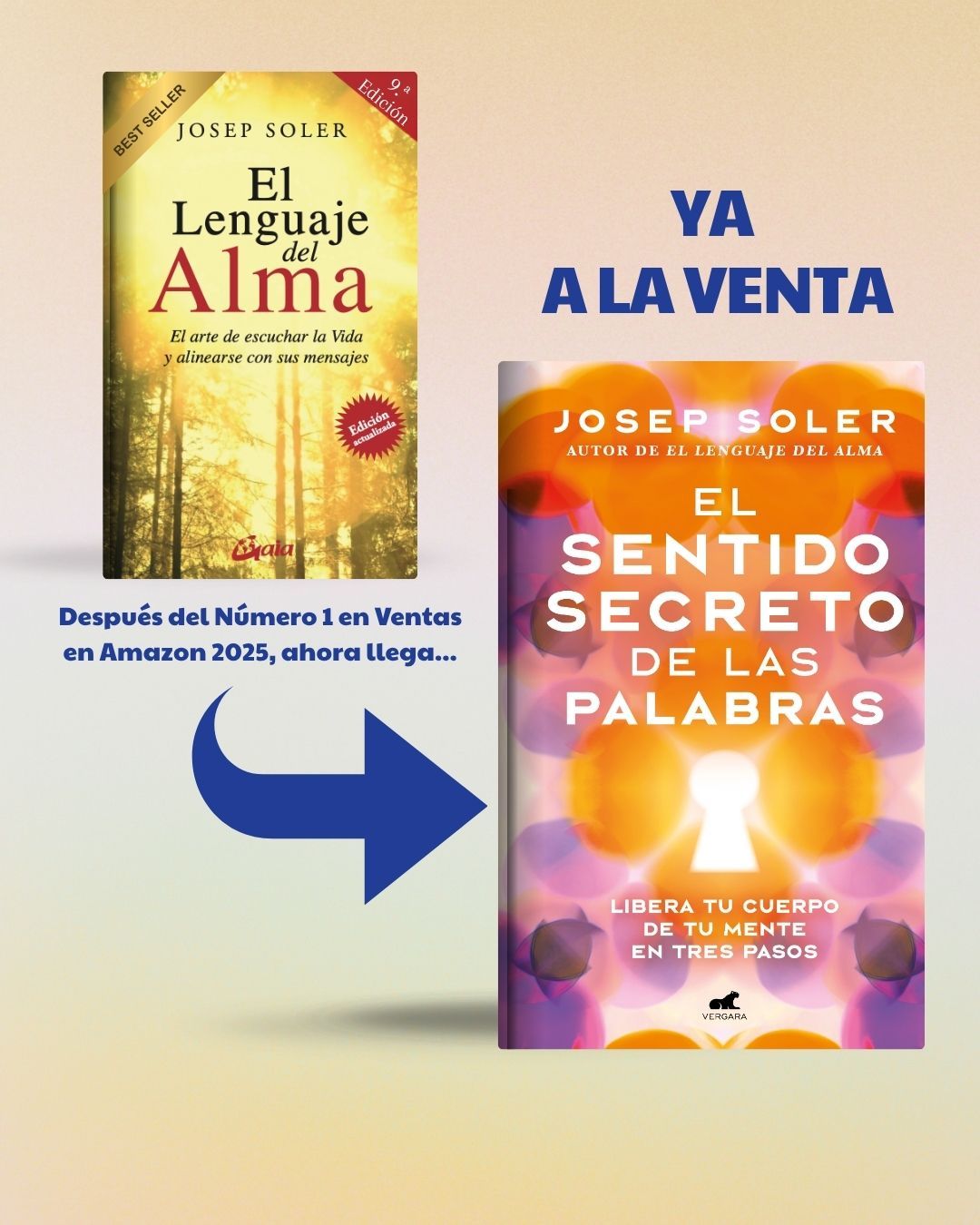 Josep Soler - Carteles (77)