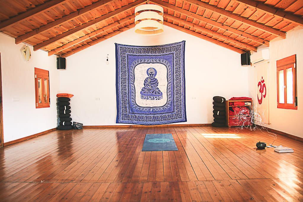Bolonia_LaLaguna_sala